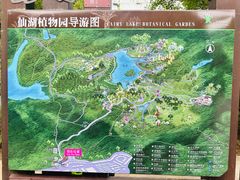 -深圳仙湖植物园