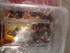 -百叶居·老北京涮羊肉(鼓楼店)