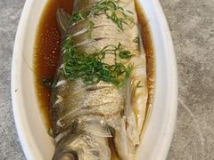 -张鸟园农家乐(张鸟园店)