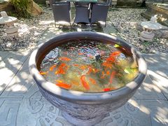 -上海老饭店(北京分店)