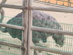 -羊亭河湿地公园