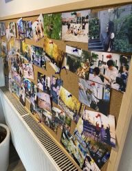 -AFA Hair studio·女士发型设计