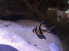 -大明湖海底世界