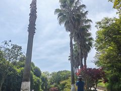 -青龙山公园
