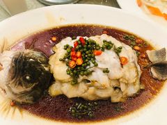 鲜椒鲈鱼-烤肉宛饭庄(南礼士路店)