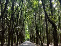 -同里国家湿地公园
