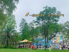-王借岗森林公园