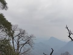 -青羊宫