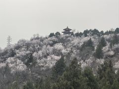 -白水寺森林公园