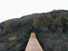 -白草畔自然风景区