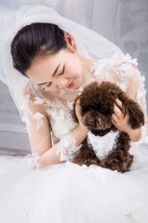 点击看大图 -新奕映像摄影机构