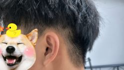-MY女士男士短发设计