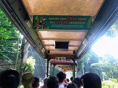 -新加坡飞禽公园