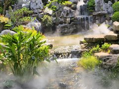-东莞植物园