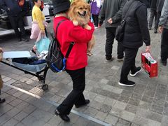 -南屏步行街
