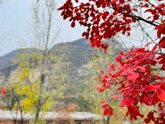 -周口店坡峰岭风景区