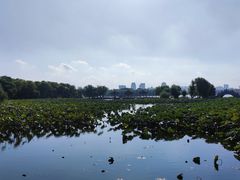 -长春市南湖公园