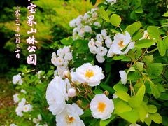 -宝界山林公园
