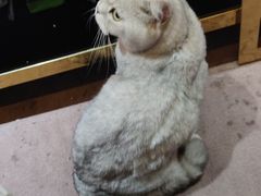 -唛歌KTV(城西银泰店)
