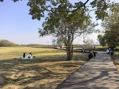 -盘龙城国家考古遗址公园