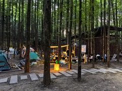 -山王坪喀斯特国家生态公园