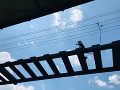 -梦幻奥陶纪景区