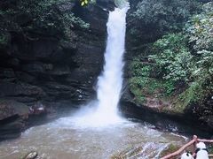 -碧峰峡风景区