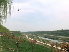 -洨河生态公园