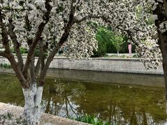 -元大都城垣遗址公园