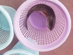 -源海渔村·现捞海鲜(大角湾店)