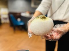 -肆月河豚·新淮扬(金融街店)