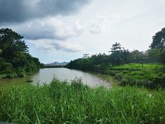 -福田红树林生态公园