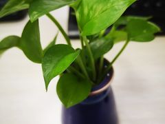 -DQ·蛋糕·冰淇淋(荟聚中心店)