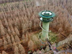 -黄海国家森林公园