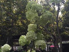 -汇龙潭