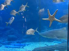 -海合安青岛极地海洋公园
