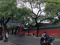 -北京国子监胡同