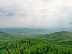-蔡伦竹海