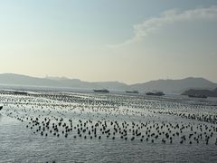 -枸杞岛