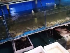 -东极岛海鲜