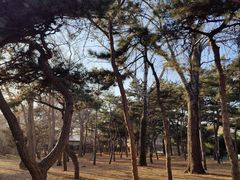 -国家植物园南园