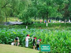 -沐仙湖湿地公园