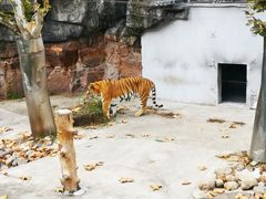 -和平公园