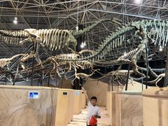 -世界恐龙谷景区