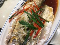 -印象江南(东栅店)