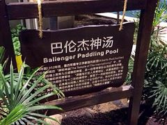 iphone_upload_pic-龙达温泉生态城