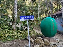 -莫里热带雨林景区