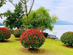 -云龙湖旅游景区