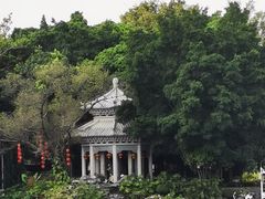 -荔湾湖公园