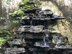-深圳仙湖植物园